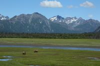 Postponed to 2021:  Dates to be announced: "Alaska:  The American Child" Movie Night at the Wheeler Opera House