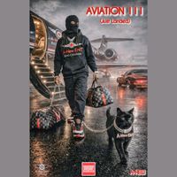 Aviation III (Just Landed) by A-Hew