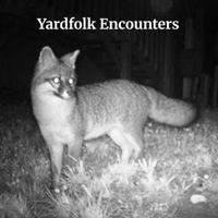 Yardfolk Encounters by Dr. Tom and the Side Effects