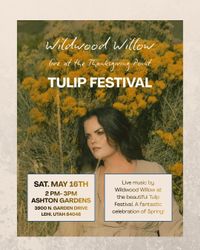 Wildwood Willow live at Tulip Festival