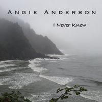 I Never Knew by Angie Anderson