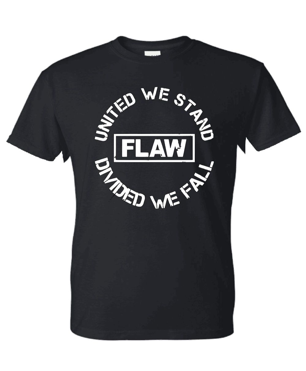 Flaw Circle Logo Tee in Black