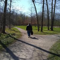 Two Roads Diverged by Matt Englert