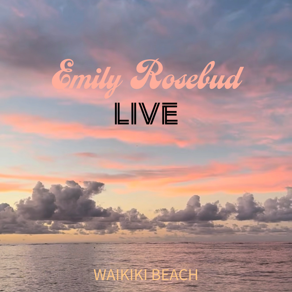 Waikiki Beach Tour Poster