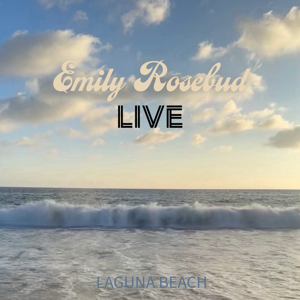laguna beach tour poster