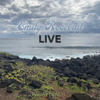kauai beach tour poster