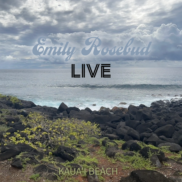 kauai beach tour poster