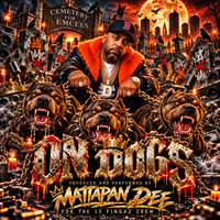 On dogs by Mattapan Dee