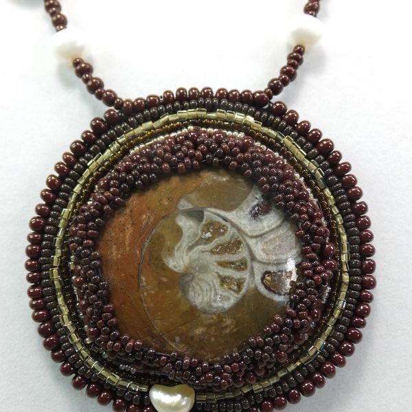 Ammonite stone 