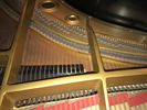 SOLD: Yamaha Parlor Grand Piano G-3