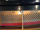 Altenburg Baby Grand Piano- SOLD.