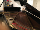 SOLD: Yamaha Parlor Grand Piano G-3