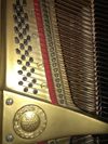 SOLD: Yamaha Parlor Grand Piano G-3