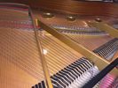 Altenburg Baby Grand Piano- SOLD.