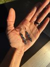 Dark hematite earrings