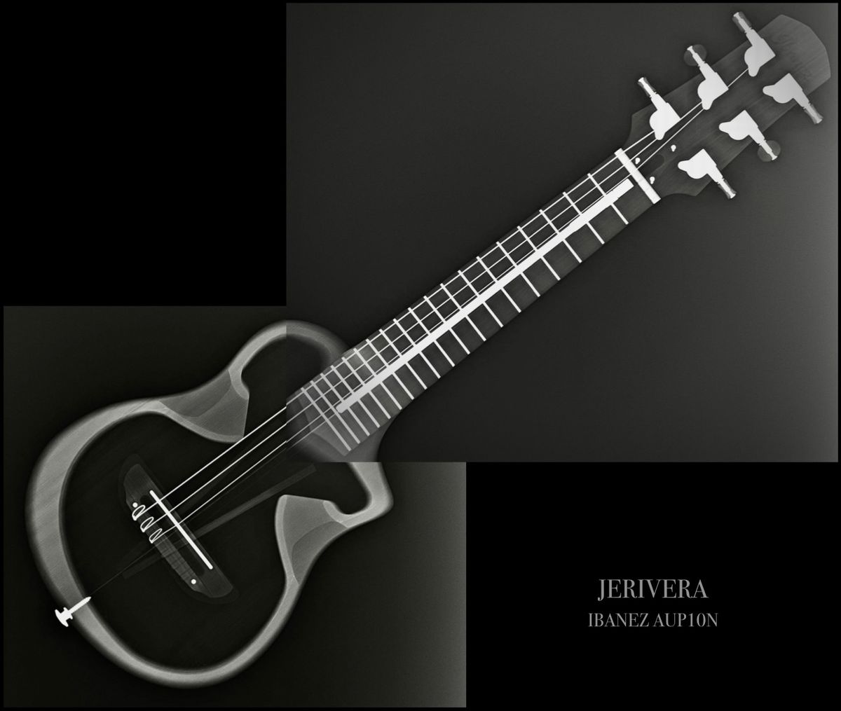 Ibanez AUP10N