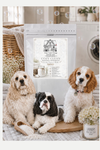 COZY CLEAN WASHER SPRINKLES   Laundry Fragrance Booster