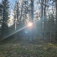 NEW LIGHT