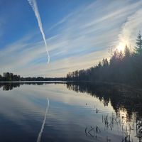 REFLECTION