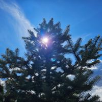 INNER ALIGNMENT