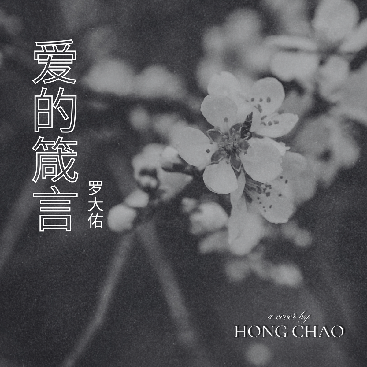 爱的箴言