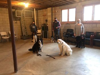 January 16, 2021 Puppy (2)

