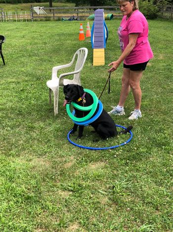 July 21,2018 Playtime/Tricks
