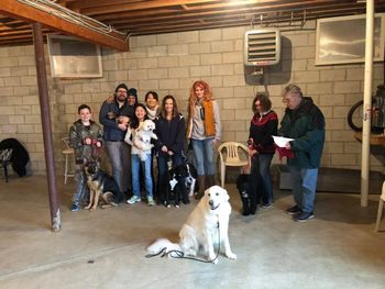December 15,2018 Puppy
