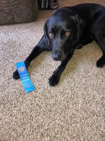 August 19, 2019 Chloe
