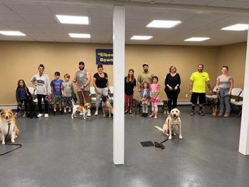 Puppy 6/27/23

