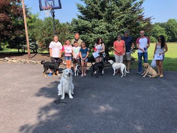 July 27, 2019 Puppy
