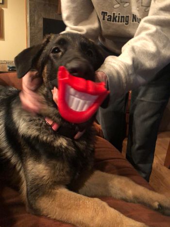 January 11, 2021 Sheba
