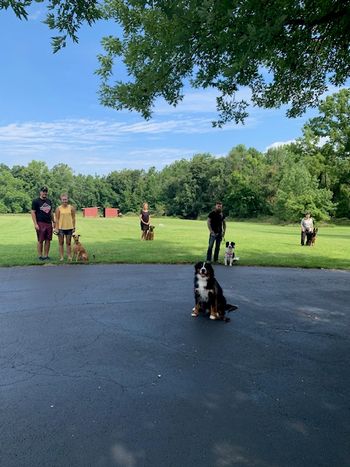 August 15, 2020 Covid
