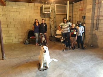 September 30, 2020 Puppy Class
