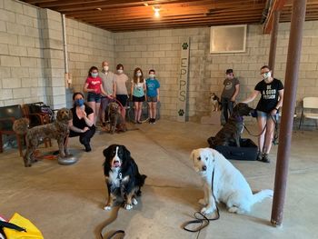 June 27, 2020 Tricks Covid
