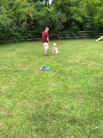 July 21,2018 Playtime/Tricks
