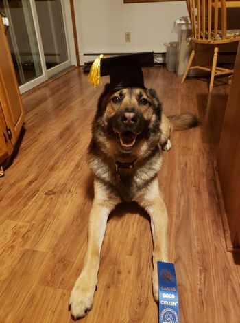 August 19, 2019 Bear
