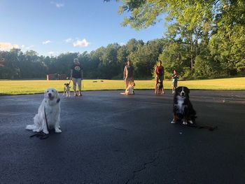 August 4, 2020 Puppy Covid
