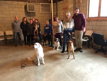 January 18, 2020 Puppy (1)
