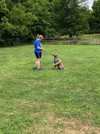 July 21,2018 Playtime/Tricks
