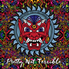 Pretty Not Terrible - CD