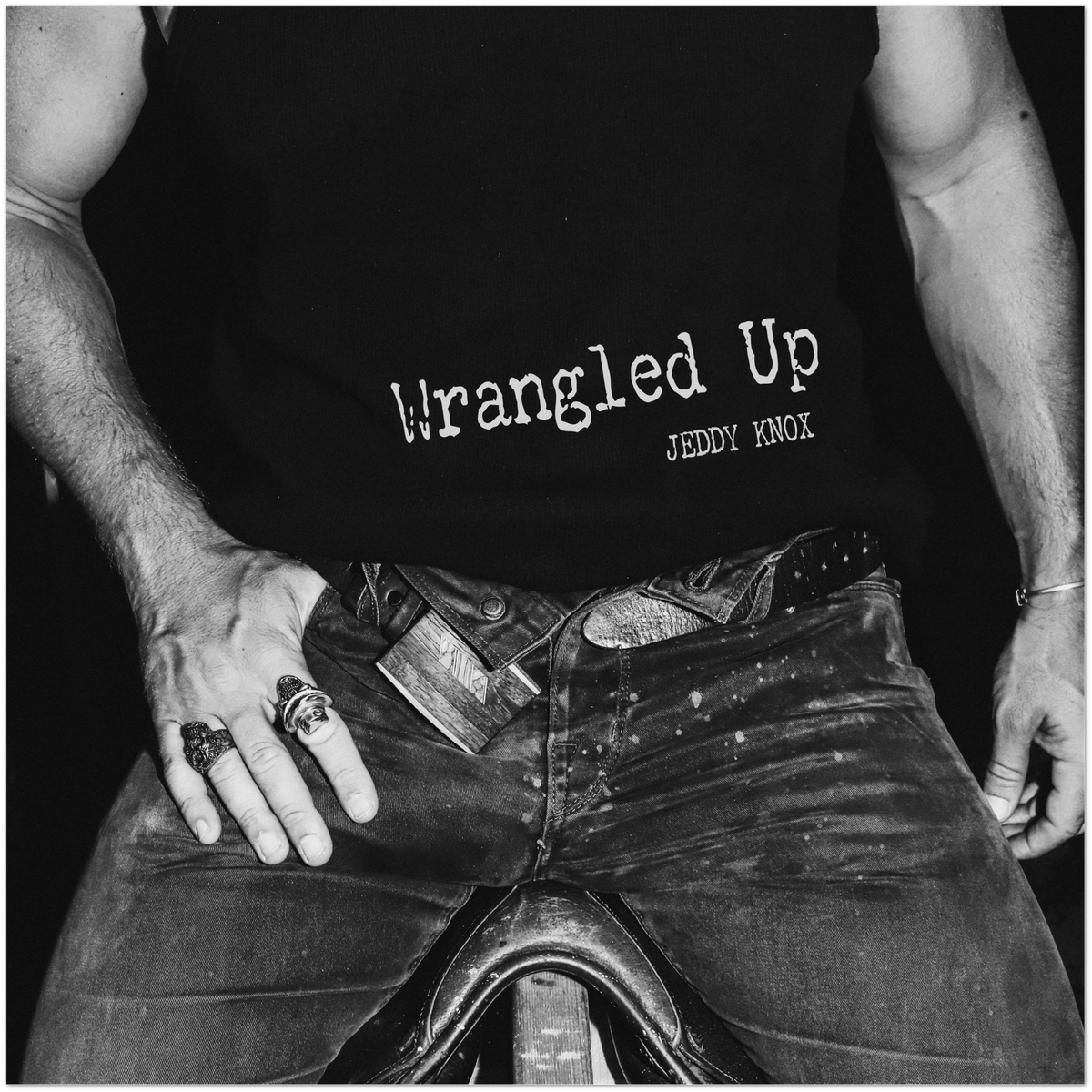 Wrangled Up - Fine Art Poster