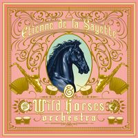 WILD HORSES ORCHESTRA by Etienne de la Sayette