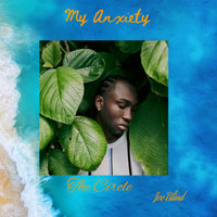 My Anxiety by The Circle, Joe Blind