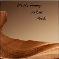 It's My Destiny by Joe Blind, Matrikz