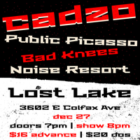 cadzo with Public Picasso, Bad Knees, and Noise Resort