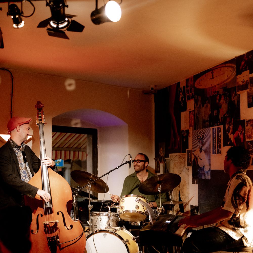 the tribevibers karim blal gabriel pierre slaven ljujic