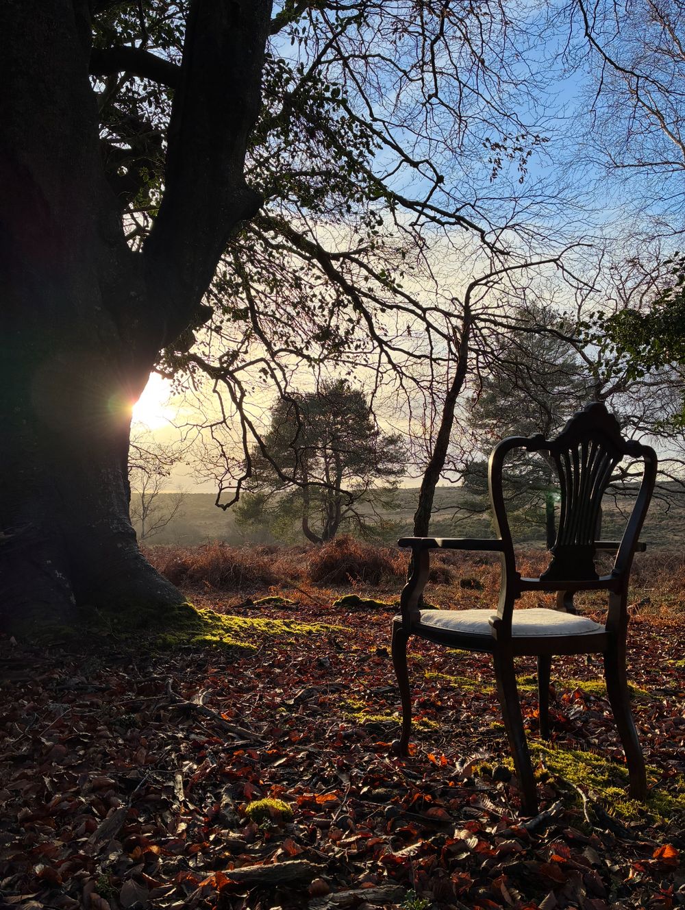 Lonely Chair Hampshire Coast Al Druryt