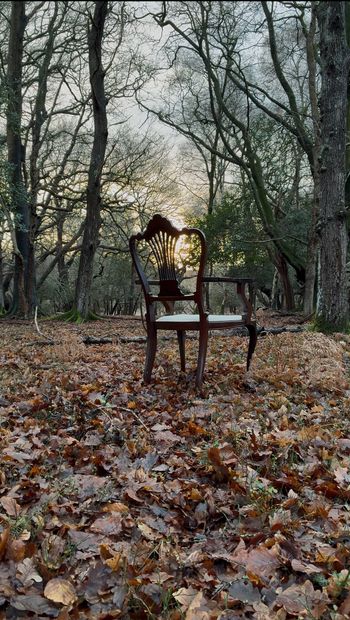 Lonely Chair Al Drury New Forest
