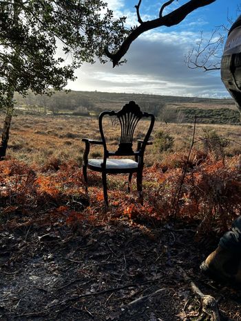 The Lonely Chair - New Forest Heath Victorian Antique Chair Art
